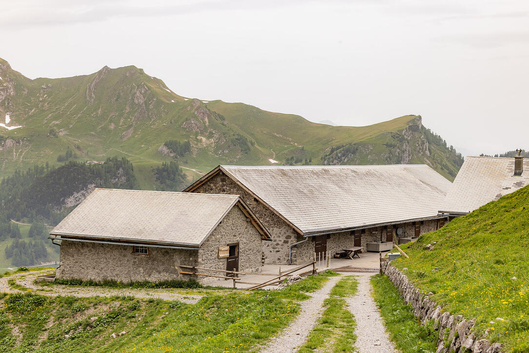 Wanderung: Steg - Alpeti - Pfälzerhütte - Malbun