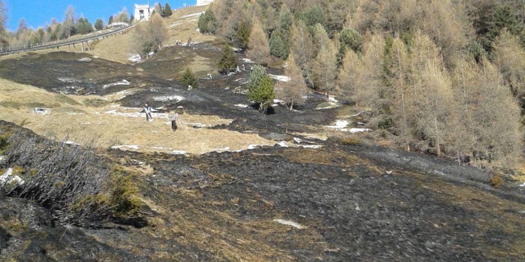 Erst am Samstag mussten die Walliser Einsatzkräfte einen Flurbrand auf 1700 Meter über Meer löschen. Erst am Samstag mussten die Walliser Einsatzkräfte einen Flurbrand auf 1700 Meter über Meer löschen.