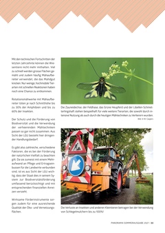 Seite 033 Seite 033