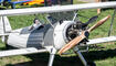 Grosses Schaufliegen, auf dem Modellflugplatz Eschen-Bendern (06.09.2026)