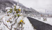 Schnee in Liechtenstein