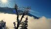 Winterwunderland Liechtenstein (03.12.23)