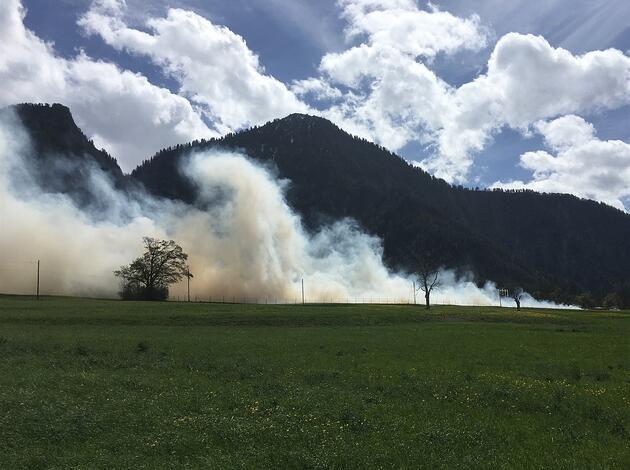 Brand Erdbeerfeld Brand Erdbeerfeld