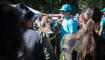 Pr&auml;mienmarkt in Steg (19.09.2026)