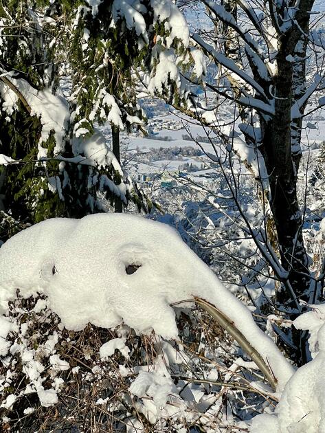 Winterwunderland Liechtenstein (03.12.23)