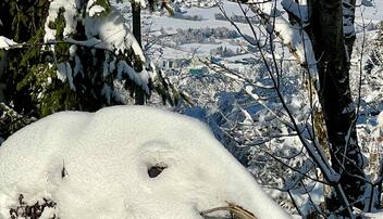 Winterwunderland Liechtenstein (03.12.23)