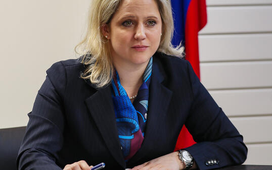 Liechtenstein Regierung Regierungsraetin Katrin Eggenberger Videokonferenz EWR-Rat