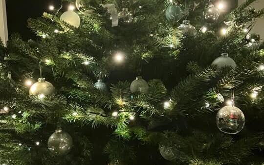 Fotowettbewerb: Zeig uns Deinen Christbaum 2022