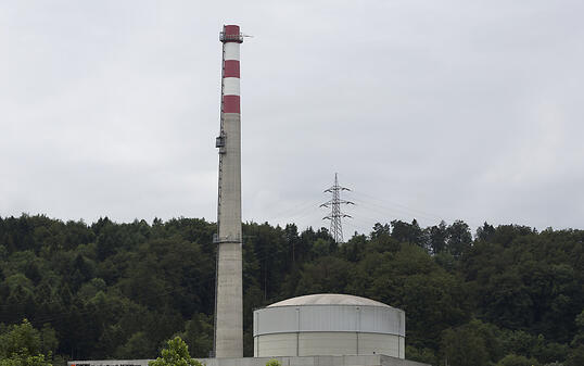 Eine Störung im Überwachungssystem der Dampfleitungen hat beim Atomkraftwerk Mühleberg vor den Toren der Stadt Bern am Mittwoch zu einer Schnellabschaltung des Reaktors geführt.