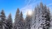 Die schönsten Ski- und Winterfotos 2018/19