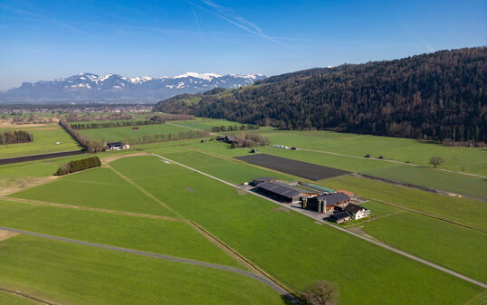 Grenze Gemeinden Ruggell