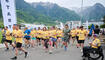 Wings for Life World Run (10.05.2026)