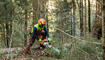 Sturmschaden im Wald