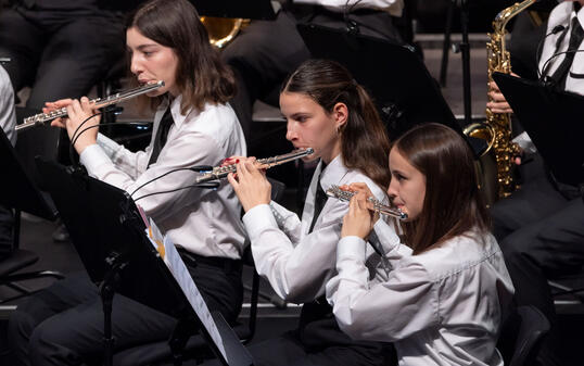 Jahreskonzert Harmoniemusik Vaduz