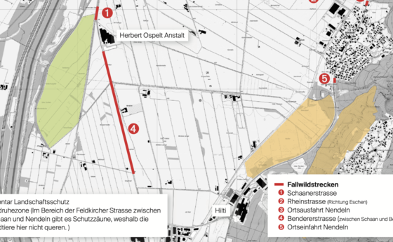 #näherdran Vaduz Fotowettbewerb