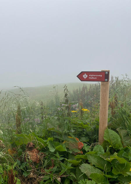 Alpherzweg Malbun - Leserwettbewerb