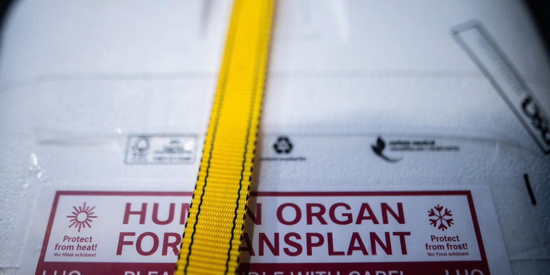 Illustration - Organspende