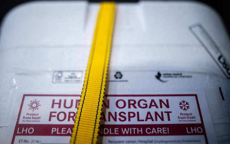Illustration - Organspende