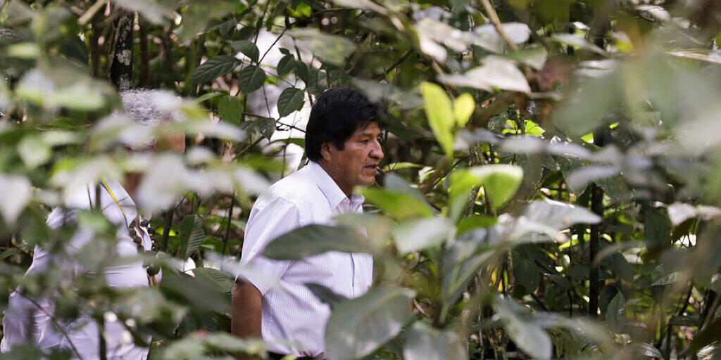 Boliviens damaliger Präsident Evo Morales letzten Herbst  im kolumbianischen Amazonas-Wald. Anlass war ein Gipfeltreffen zur Rettung des Regenwalds. Ein bisschen was hat die Diskussion genützt: In Kolumbien wurde seither etwas weniger gerodet. (Archivbild)