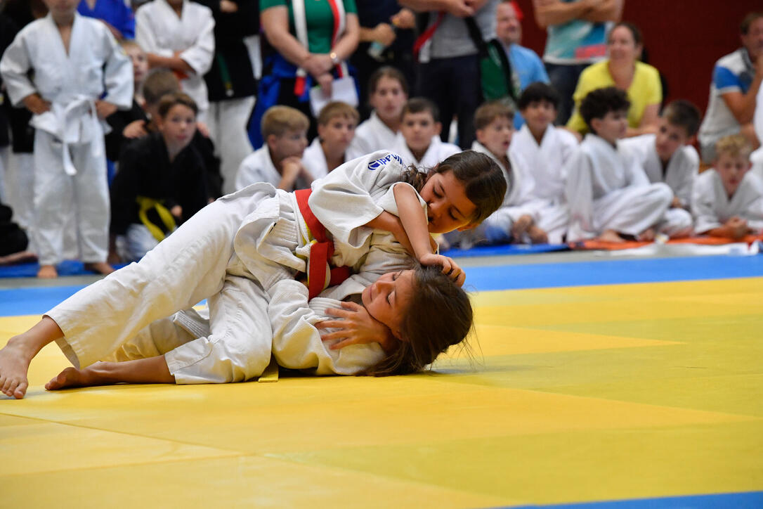 Landesmeisterschaft Judo