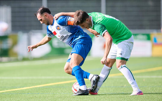 USV - THALWIL