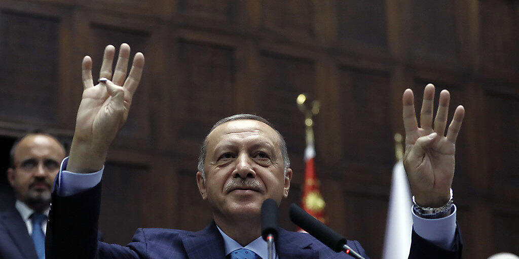 Der türkische Präsident Recep Tayyip Erdogan kann sich freuen - das Parlament in Ankara verabschiedete in der Nacht auf Mittwoch ein umfassendes Gesetz, mit dem Erdogan seine Gegner weiterhin in Schach halten kann.