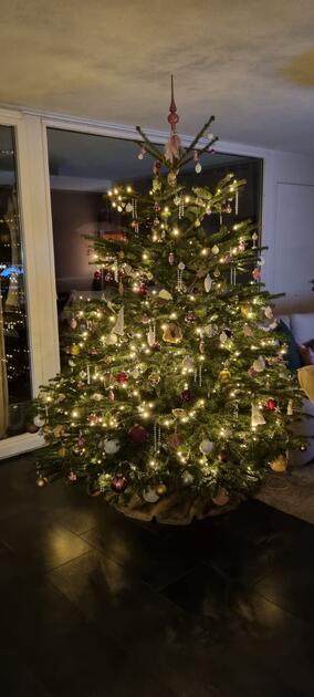 Fotowettbewerb: Zeig uns Deinen Christbaum 2023