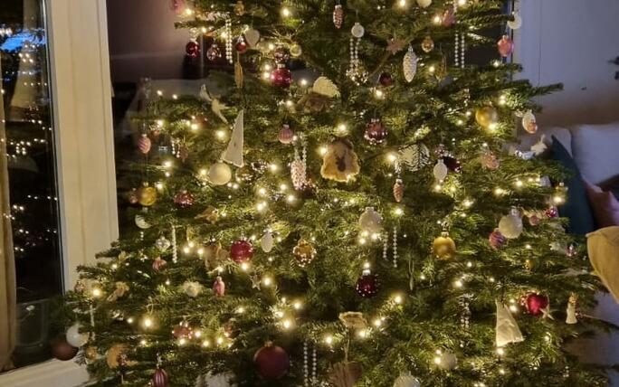 Fotowettbewerb: Zeig uns Deinen Christbaum 2023