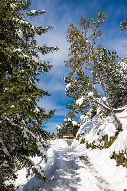 Erster Schnee in Liechtenstein