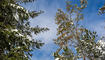 Erster Schnee in Liechtenstein