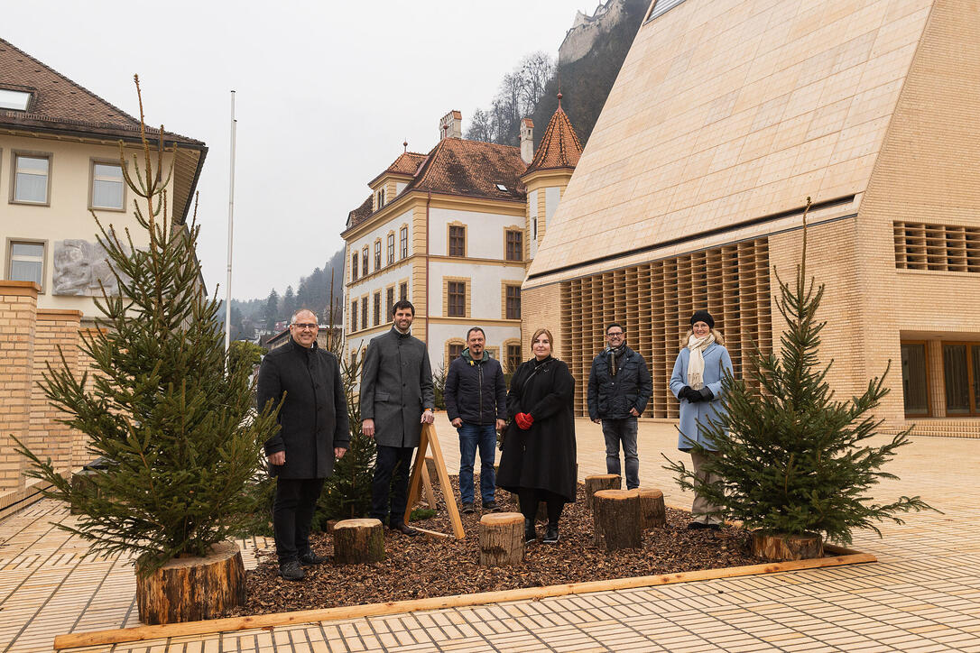Vaduzer Weihnachts-Städtle