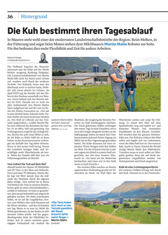 Seite 036