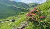 Fünf-Seen-Wanderung im Pizol
