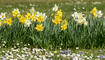 Frühling in Liechtenstein