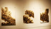 Vernissage zur Ausstellung: "Erdpech" von Daniel Stiefel, Domus,