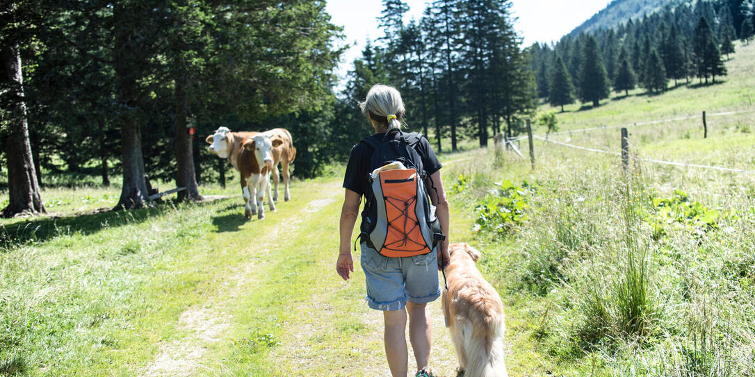 Exploring new territories