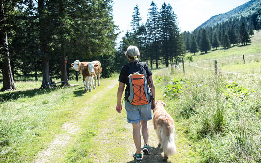 Exploring new territories