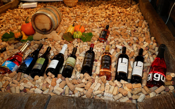 24. Winzerfest im Torkel in Balzers.