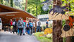 Waldtage in Schaan (20.09.2023)