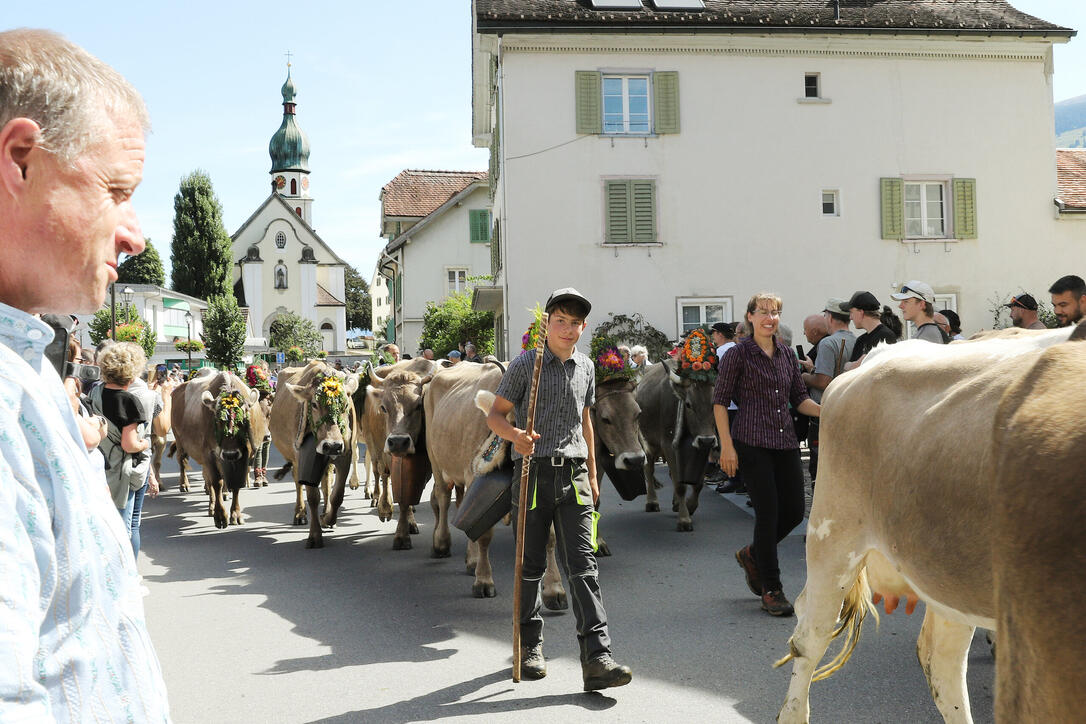 Alpabfahrt in Mels