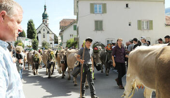 Alpabfahrt in Mels