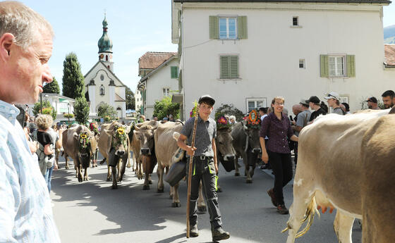 Alpabfahrt in Mels