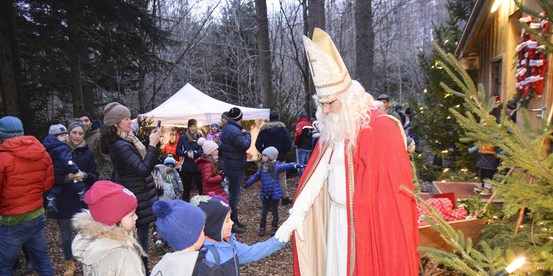 Nikolaus Nikolaus
