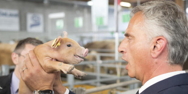 Fachkommission fordert: Keine Antibiotika für Nutztiere (Archiv)