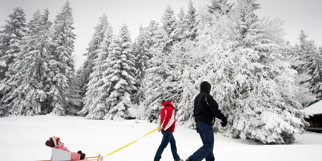 SCHLITTEN, FAMILIE, KAELTE, NEUSCHNEE, KAELTEWELLE,