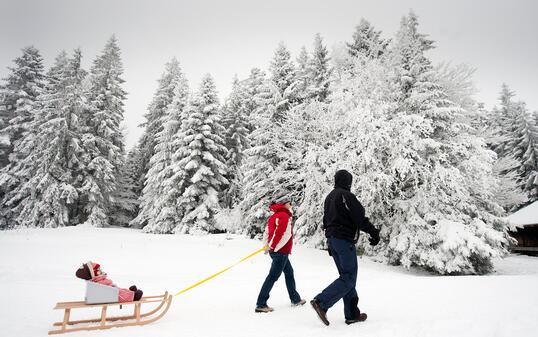 SCHLITTEN, FAMILIE, KAELTE, NEUSCHNEE, KAELTEWELLE,