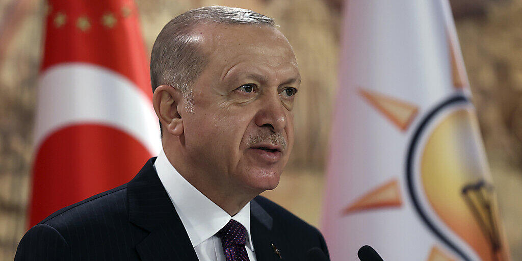 HANDOUT - Recep Tayyip Erdogan, Präsident der Türkei, spricht während einer Videokonferenz zu Mitgliedern seiner Regierungspartei. Foto: ---/Turkish Presidency/ AP/dpa HANDOUT - Recep Tayyip Erdogan, Präsident der Türkei, spricht während einer Videokonferenz zu Mitgliedern seiner Regierungspartei. Foto: ---/Turkish Presidency/ AP/dpa