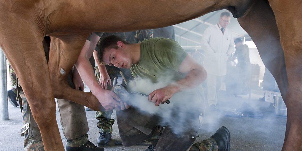 Ein Militärhufschmied passt einem Pferd ein Hufeisen an. Das Einbrennen eines Zeichens in den Huf  ist  im Gegensatz zur Markierung der Haut schmerzfrei.(Archivbild)