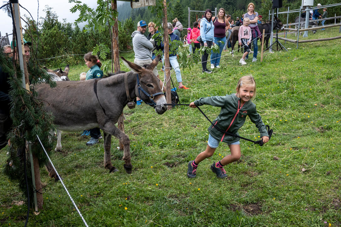 Eselfest in Malbun