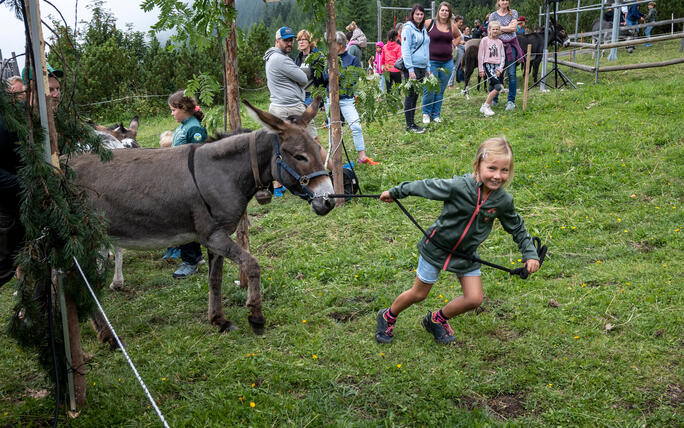 Eselfest in Malbun